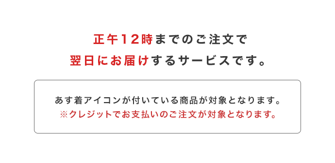 午前11時までのご注文で翌日にお届けするサービス