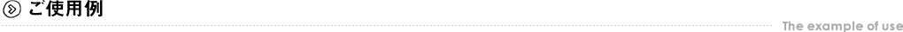 ご使用例