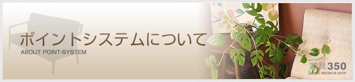 ポイントシステムについて