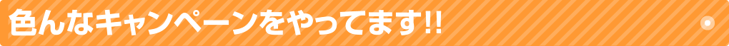 色んなキャンペーンをやってます!!
