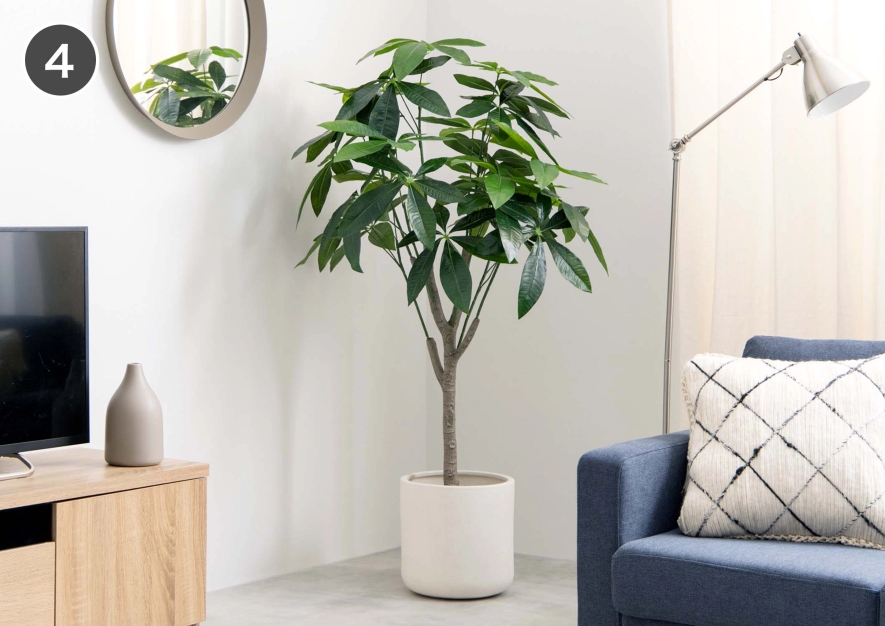 モダンコーディネート