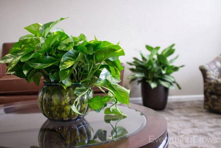 カフェのようなお部屋に【PART2】（カーテン＆小物編）