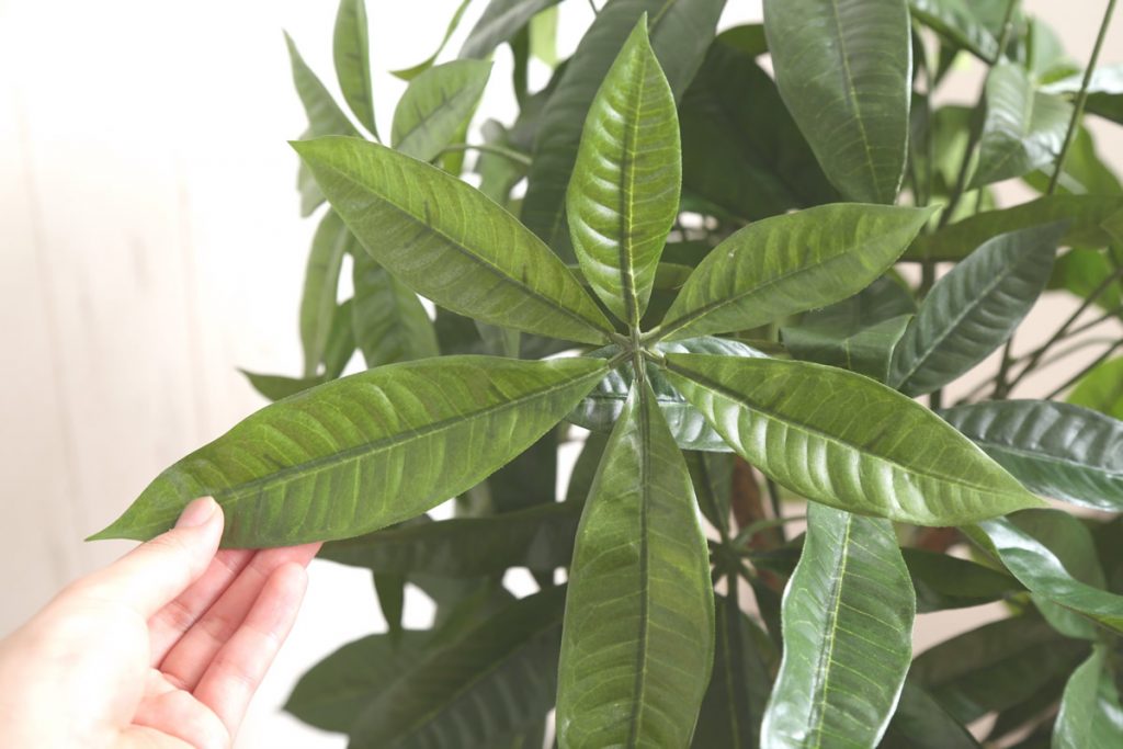 人工観葉植物でグリーンのある暮らし♪の画像