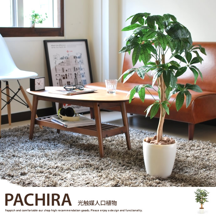 人工観葉植物でグリーンのある暮らし♪の画像