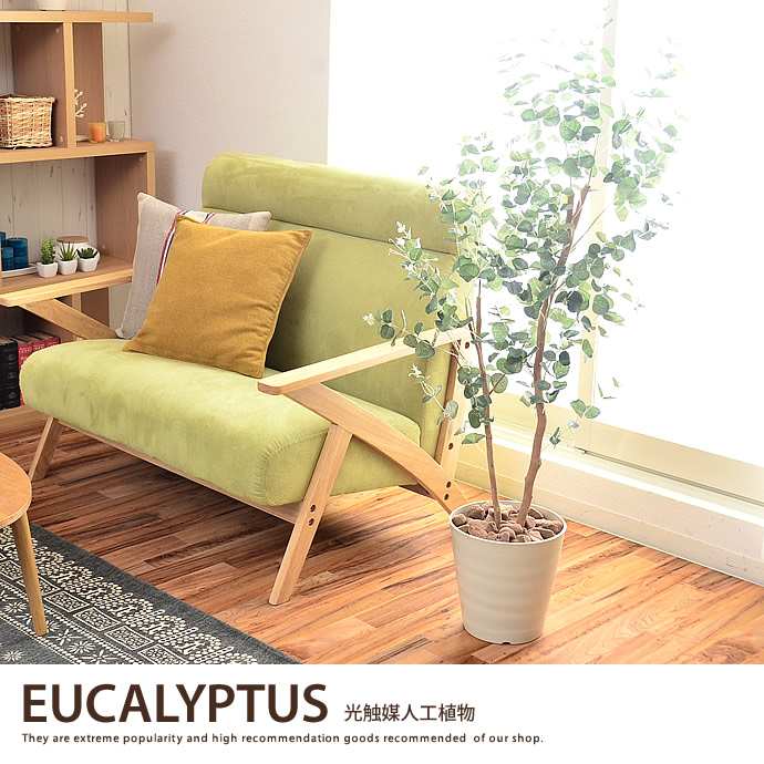 人工観葉植物でグリーンのある暮らし♪の画像