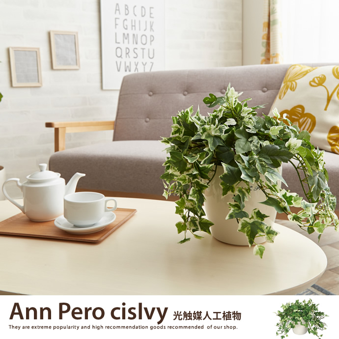 人工観葉植物でグリーンのある暮らし♪の画像