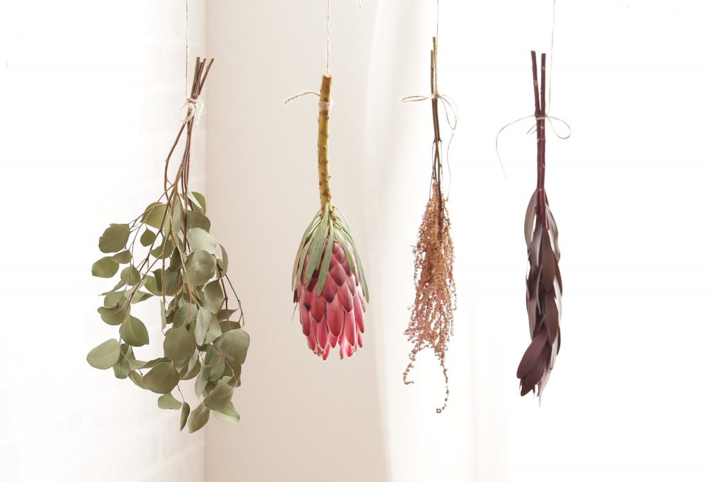 初心者でも簡単♪ドライフラワー作りに初挑戦しました！の画像