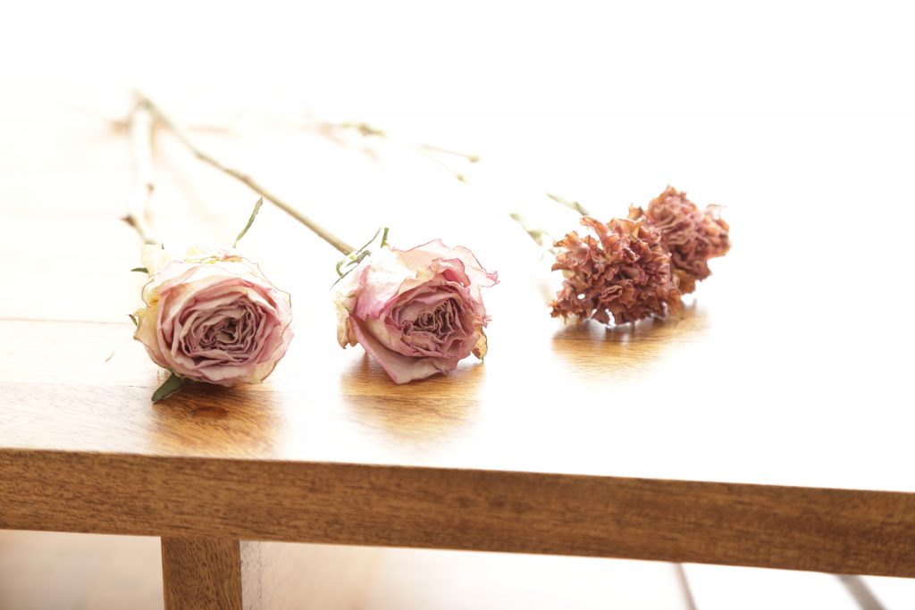 初心者でも簡単♪ドライフラワー作りに初挑戦しました！の画像