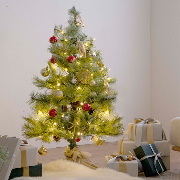 あなたにピッタリのクリスマスツリーを見つけませんかの画像