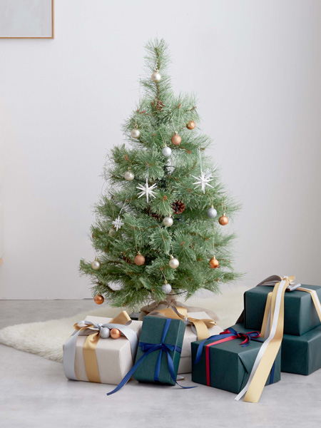 あなたにピッタリのクリスマスツリーを見つけませんかの画像