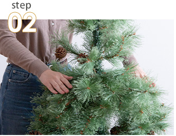 あなたにピッタリのクリスマスツリーを見つけませんかの画像