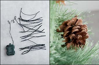 あなたにピッタリのクリスマスツリーを見つけませんかの画像