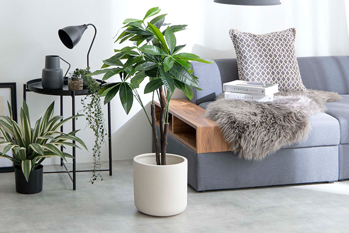 【新商品】お家の中でも「自然」を感じる暮らしの画像