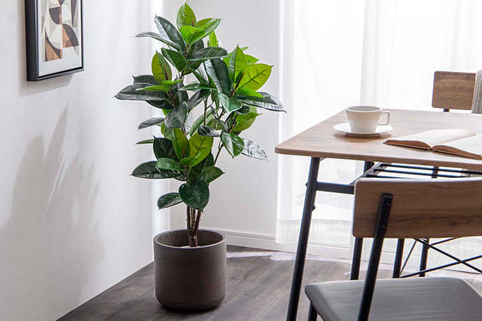 【新商品】お家の中でも「自然」を感じる暮らしの画像