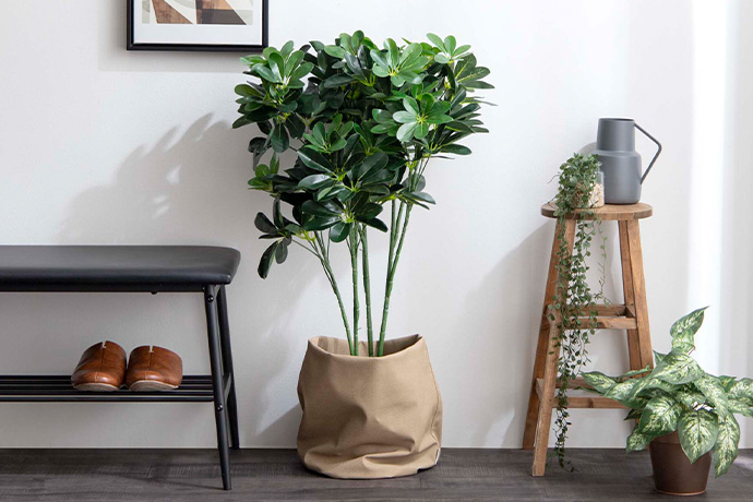 【新商品】お家の中でも「自然」を感じる暮らしの画像