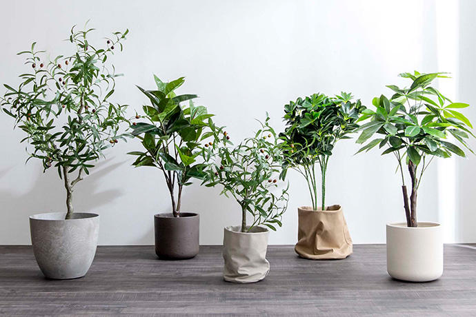 【新商品】お家の中でも「自然」を感じる暮らしの画像