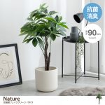 【新商品】お家の中でも「自然」を感じる暮らしの画像