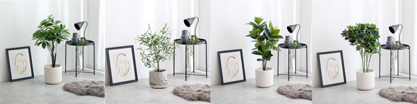 【夏を感じるおすすめインテリア】お部屋に夏を取り入れ、ワンランク上のおしゃれな空間にの画像