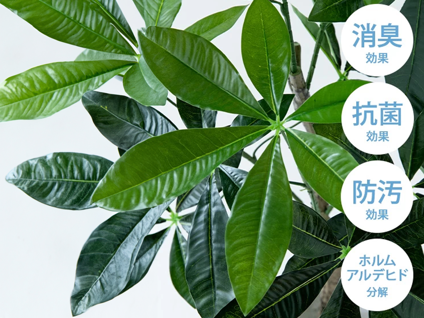 永く愛する、家具350のフェイクグリーンの画像