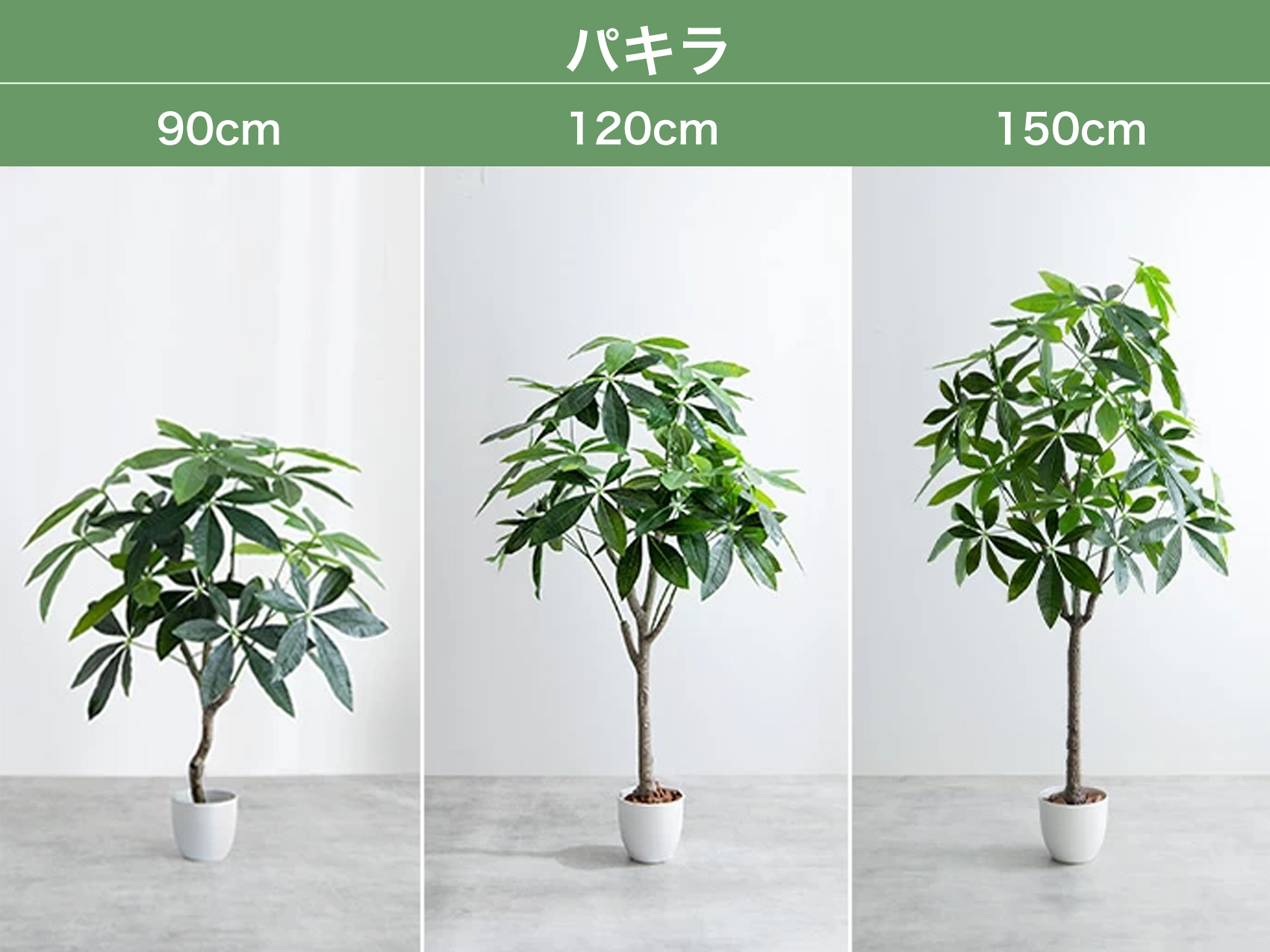 永く愛する、家具350のフェイクグリーンの画像